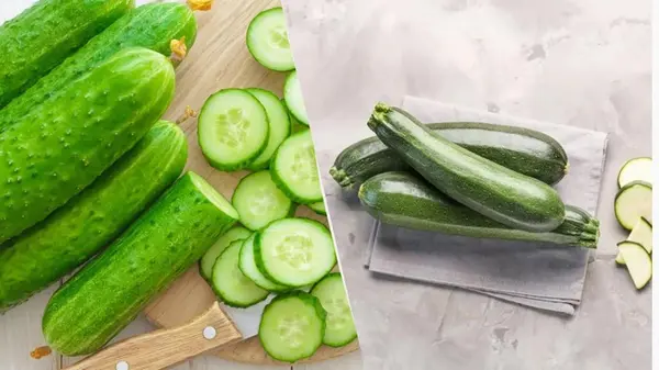 Огурцы против кабачков: диетологи объяснили, что полезнее
