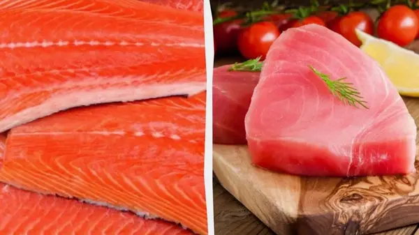 Тунец или лосось: какая рыбная консерва полезна