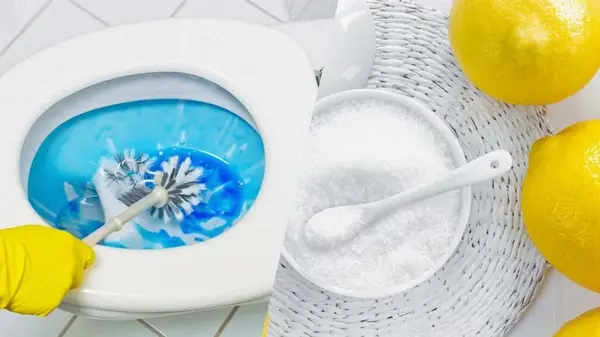 Даже толстый слой налета отвалится сам: вот чем надо обработать унитаз