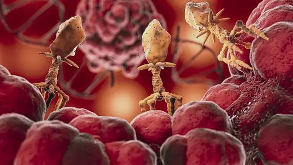 Как поднять гемоглобин в домашних условиях: советы и список продуктов