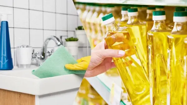 Почему опытные хозяйки протирают унитаз и раковину обычным маслом: ответ может удивить