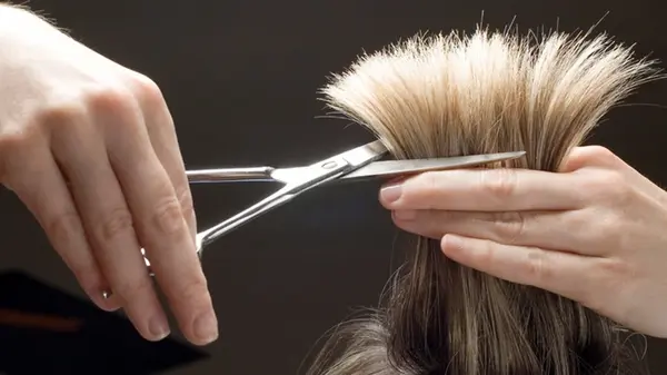 Стрижка в эти дни сентября привлечет богатство: «денежные» даты лунного календаря