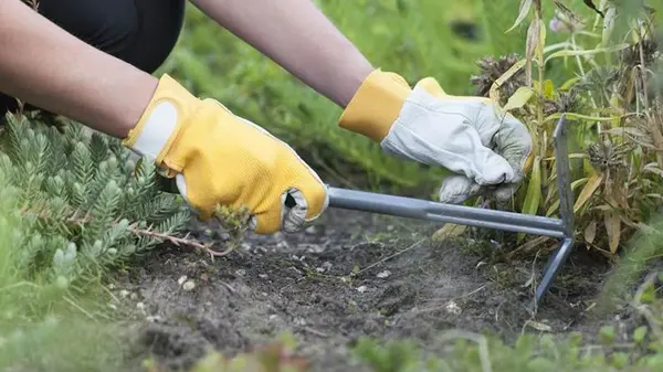 Как подготовить грядки и растения к зимнему сезону