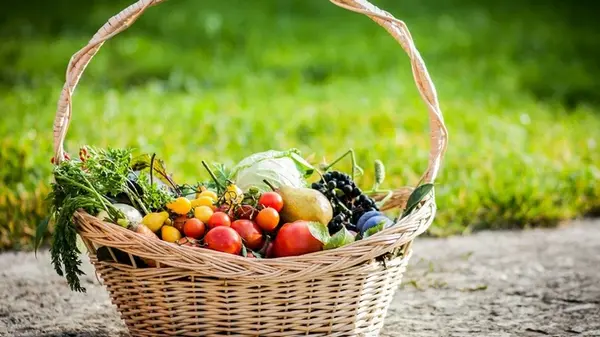 Лунный посевной календарь на сентябрь 2025 года: в какие дни к грядкам лучше не подходить