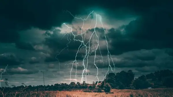 Ни в коем случае не сажайте в саду эти три дерева, если не хотите, чтобы они притянули молнию