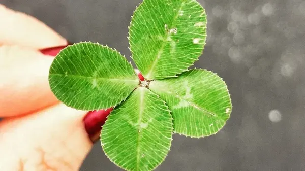 На них посыпятся золотые горы: осенью 2025 года эти три знака зодиака ожидает финансовый успех