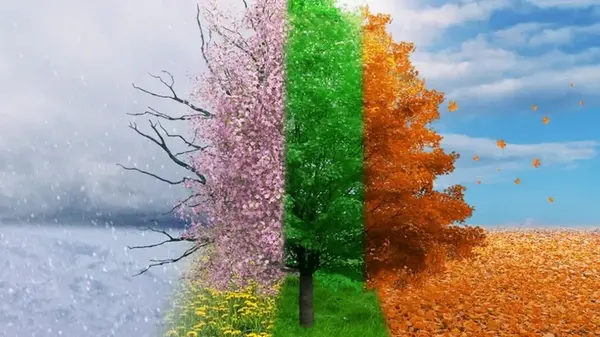 Что делает вас незабываемым: месяц рождения раскроет тайну