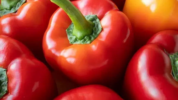 Простой трюк сохранит сладкий перец свежим и хрустящим на несколько недель