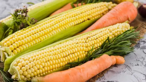 Кукуруза круглый год: секреты правильной заморозки