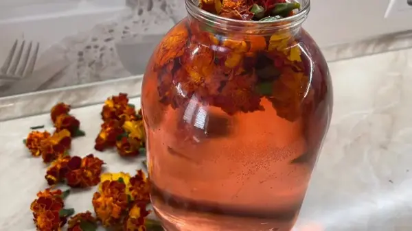 Освежающий квас из бархатцев: домашний рецепт