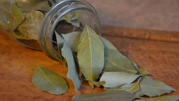 Положите лавровый лист в четыре секретные точки и откройте дверь в финансовый поток