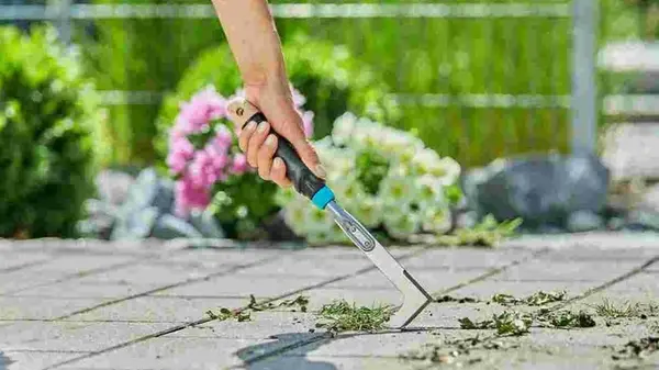 Как за 5 минут избавиться от сорняков на дорожках между плиткой: простой американский лайфхак