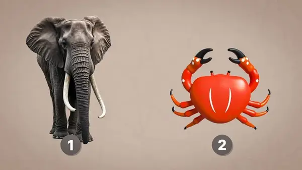 Удивительный тест на внутреннюю обиду: 95% злопамятных людей делают один выбор