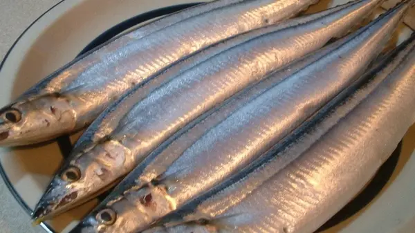 Эта морская рыба наиболее недооценена, а зря: она недорогая, очень вкусная и полезная