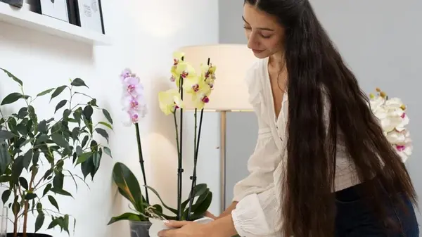 Магазинный горшок только вредит: как правильно пересадить орхидею, чтобы она снова зацвела