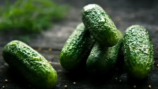 Не испортите закрутки: три сорта огурцов, которые ни в коем случае не подходят для консервации