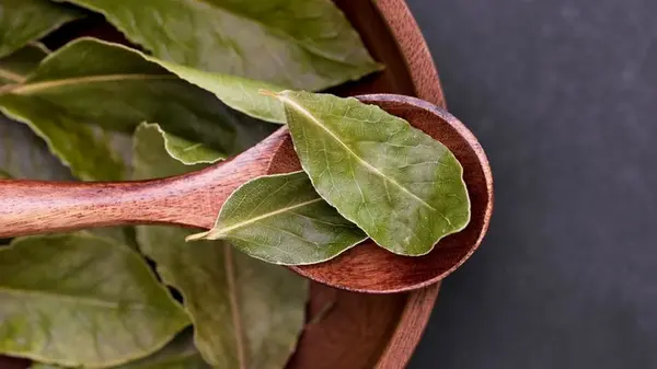 Положите лавровый лист под кровать: результат этого древнего секрета вас удивит