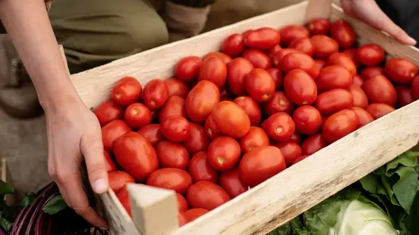 Домашние помидоры не будут гнить, будут свежими и вкусными до 4 месяцев: вот как правильно хранить