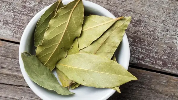 Один лавровый лист в холодильник, второй — под него: главная проблема на кухне будет решена