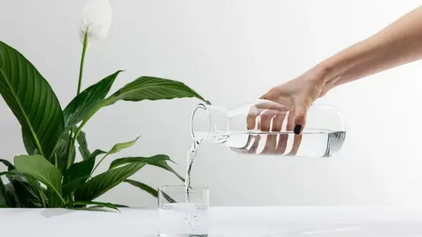 Сколько воды нужно женскому счастью, чтобы цветок не сгнил