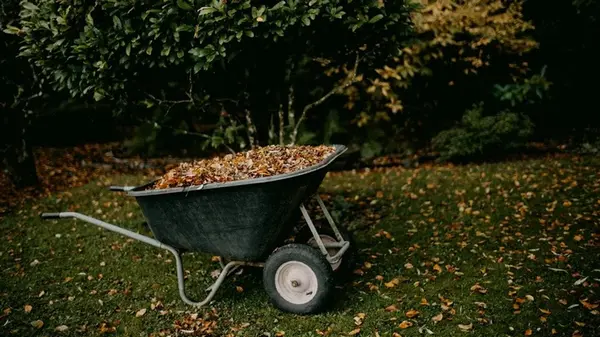 Лунный посевной календарь на октябрь 2025 года: что и когда делать в саду и на огороде