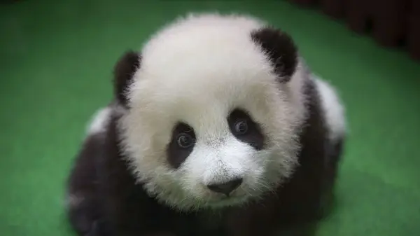 Тест на личность: узнайте, насколько мнение других людей важно для вас