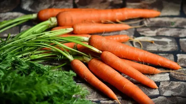 Как сохранить морковь свежей и хрустящей: действенные рекомендации