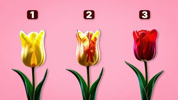 Личный прогноз на ближайшие месяцы: тест с цветами раскроет будущее