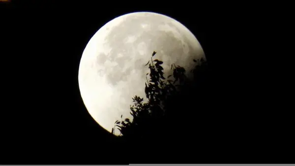 Полнолуние 6 октября станет судьбоносным для четырех знаков Зодиака: что их ждет