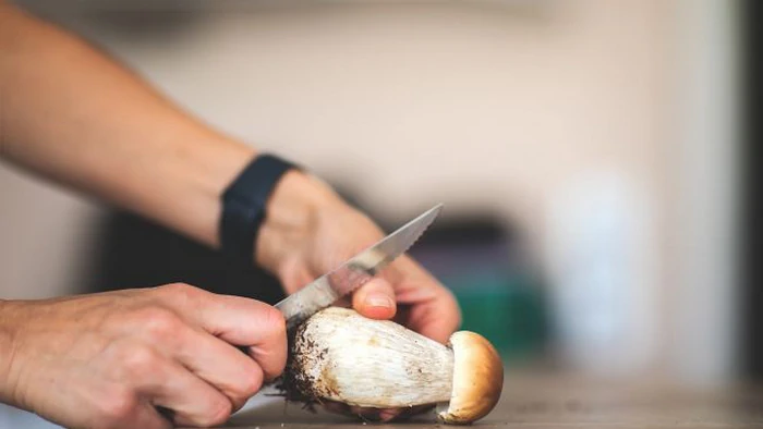 Как убрать горечь из грибов с помощью простого лайфхака: старый бабушкин секрет