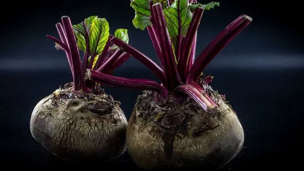 Зачем добавлять хлеб во время варки свеклы — кулинарный секрет