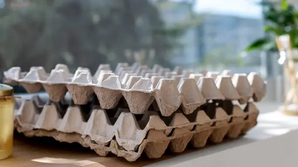 Никогда не выбрасывайте лотки для яиц: отнесите их в погреб — и избавитесь сразу от нескольких проблем