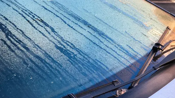 Кошачий наполнитель против запотевания стекла: гениальный трюк для водителей на осень