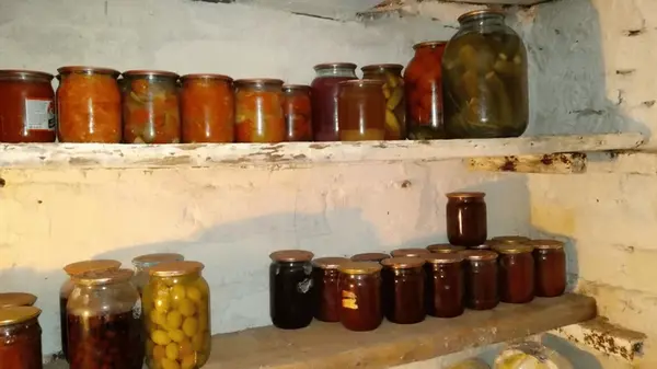 Вся влага исчезнет: простой трюк, который спасет погреб от плесени