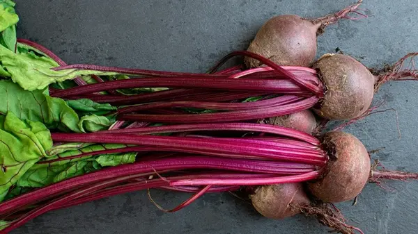 Не хватит и 10 мешков: в какие дни октября и ноября нужно посеять свеклу для рекордного урожая