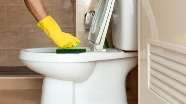 Как удалить самый стойкий налет в унитазе: это средство есть у каждого на кухне