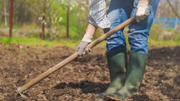 В каком случае огород обязательно нужно перекопать под зиму, а когда - нет: от чего это зависит