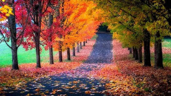 Гороскоп на неделю: для всех знаков зодиака