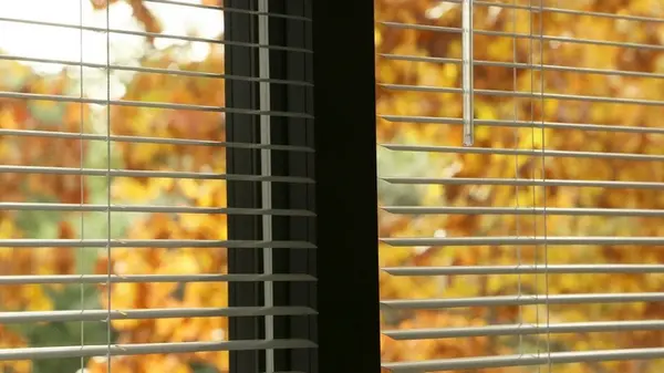 Как наши бабушки мыли окна без пятен: гениальный лайфхак с двумя тряпками