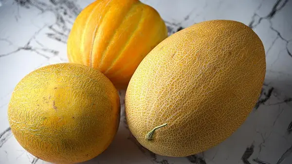 О них не все знают: шесть полезных свойств дыни