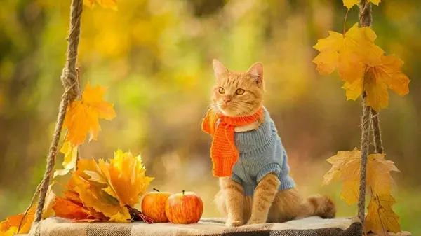 Гороскоп на неделю: для всех знаков зодиака