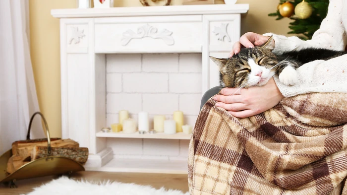 Что делать, если ваш дом навевает грусть: советы, которые помогут сделать пространство уютным