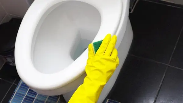 Как почистить унитаз, чтобы он сиял, как новый: эксперты дали подробную инструкцию