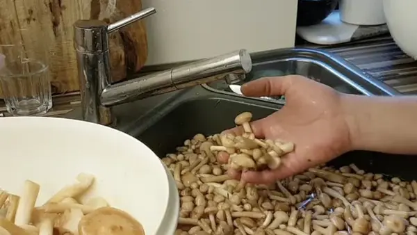 Опята без песка и листьев: простой способ очистки, который работает всегда