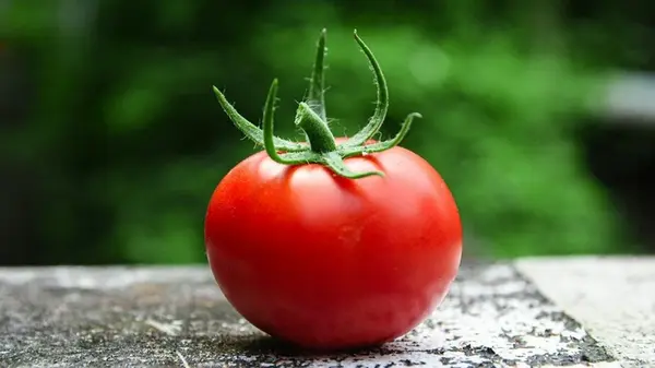 Гигантские томаты по 600 г: в 2026 году выберите этот сорт и получите невероятный урожай