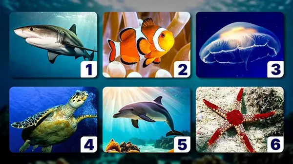 Заботливый, одинокий или уязвимый: выбранное животное расскажет, какой вы человек