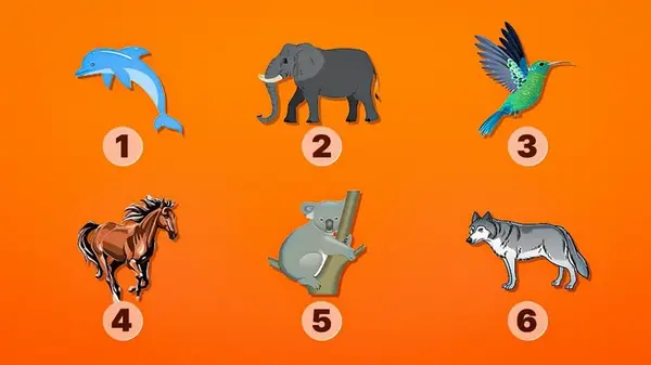 Кто из духов-животных защищает вас от бед: необычный тест на личность