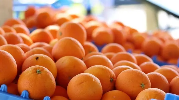 Почему апельсины продают в красных сетках — не поймайтесь на эту хитрость