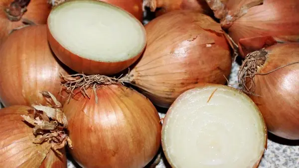 Какие изменения произойдут в организме, если ежедневно есть лук: эксперты назвали 8 плюсов