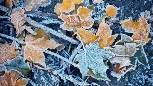 Гороскоп на неделю: для всех знаков зодиака